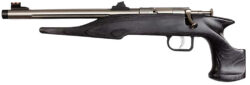Chipmunk 40103 Hunter  Youth Frame 22 LR Single Shot 9" Threaded Stainless Steel Barrel, Black Laminate Frame